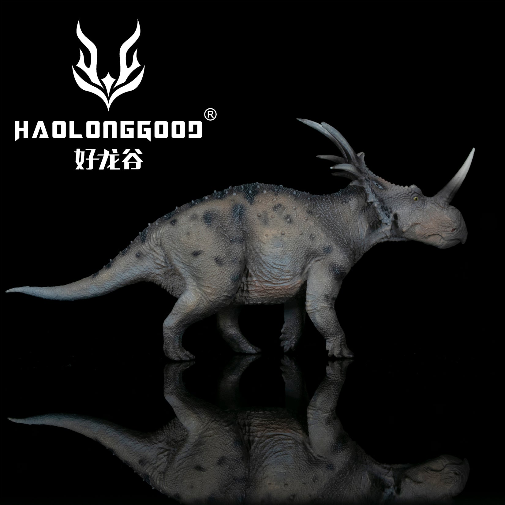 HAOLONGGOOD 1:35 Scale Styracosaurus Model