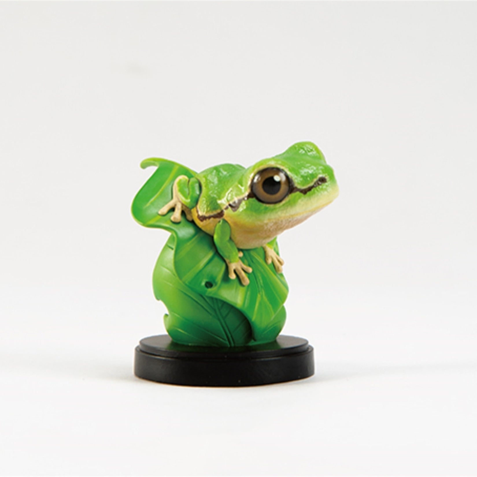 Hongshan Forest Zoo Spotless Tree Frog‌ Model