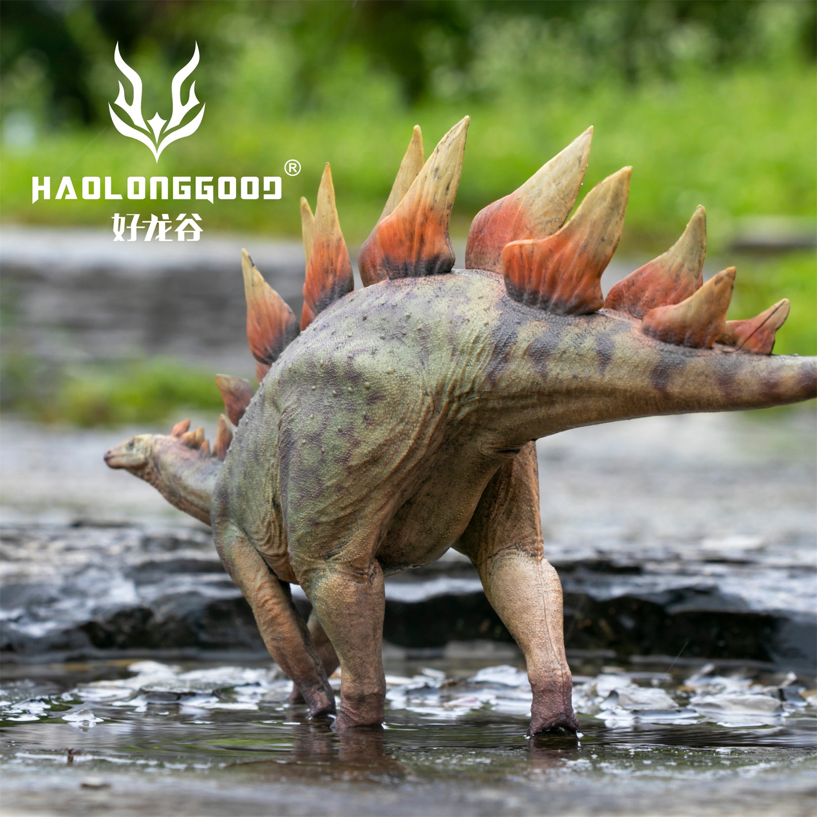 HAOLONGGOOD 1:35 Scale Stegosaurus Model