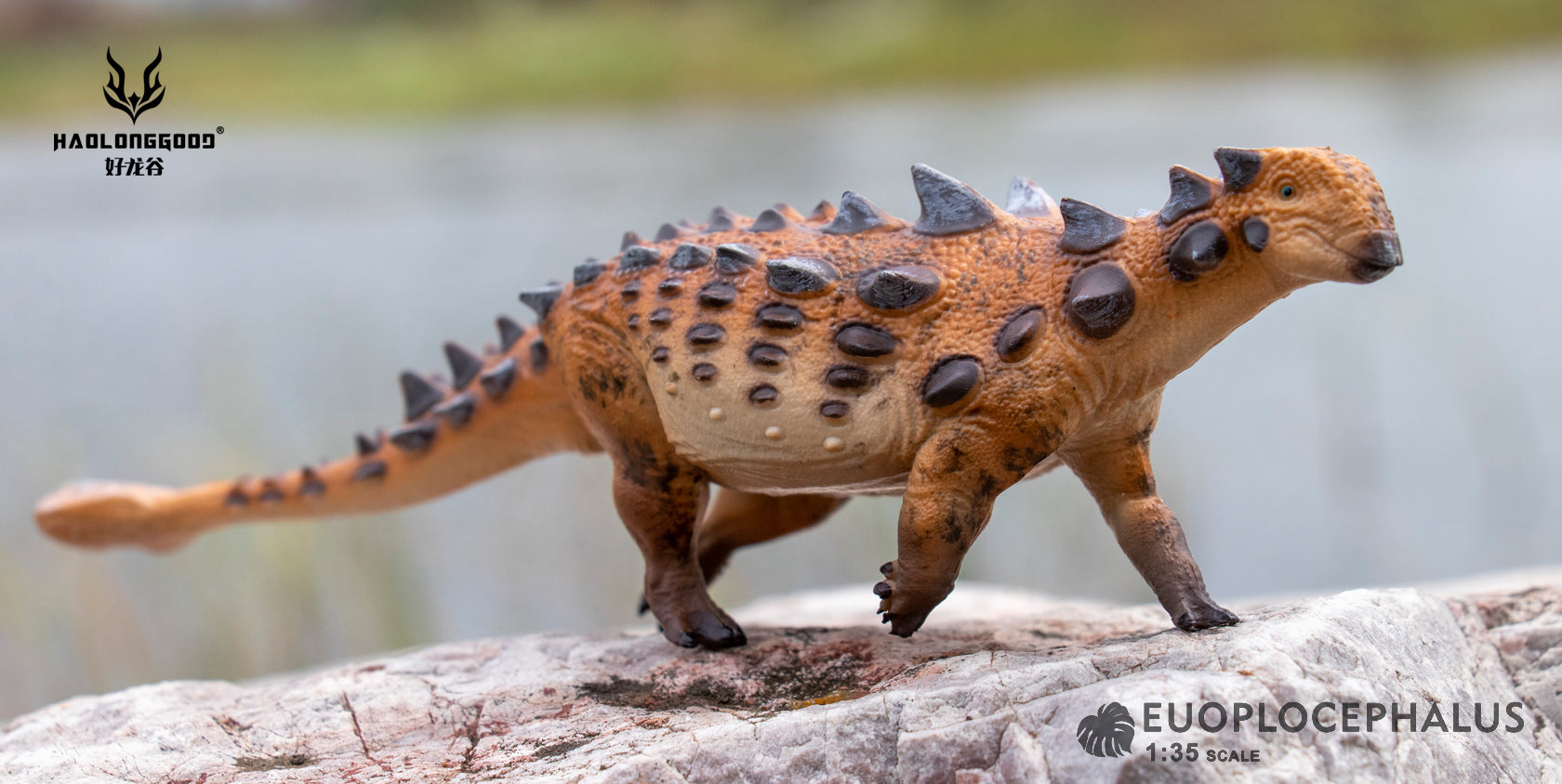 HAOLONGGOOD 1:35 Scale Euoplocephalus Model