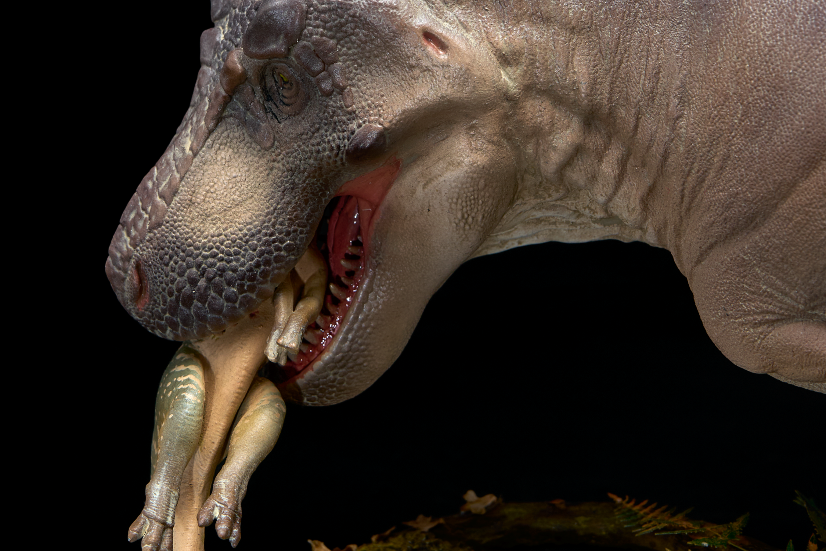 De CLAY Studio T. rex and Edmontosaurus Model