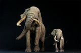 De CLAY Studio African Elephant battling bulls Statue