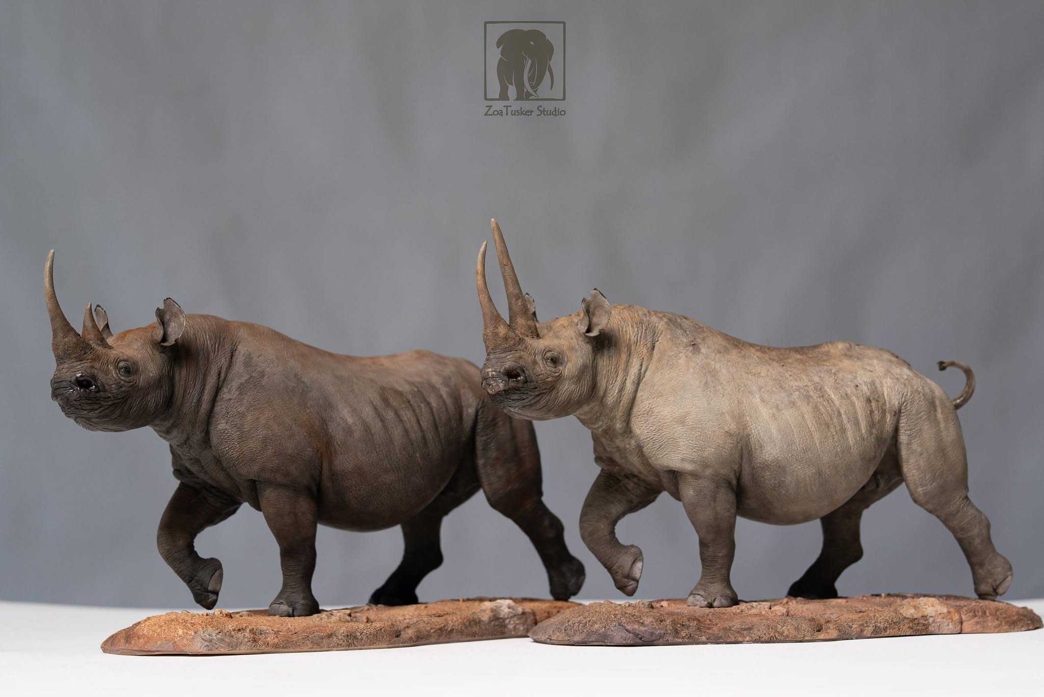 ZoaTusker Studio Black Rhinoceros Model