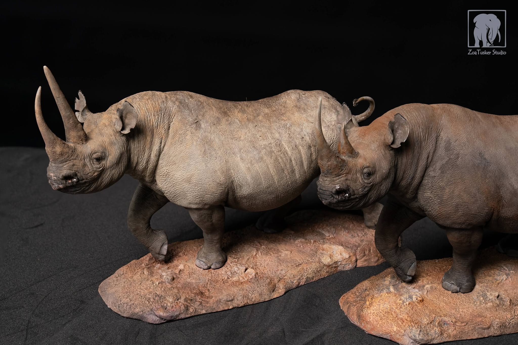 ZoaTusker Studio Black Rhinoceros Model