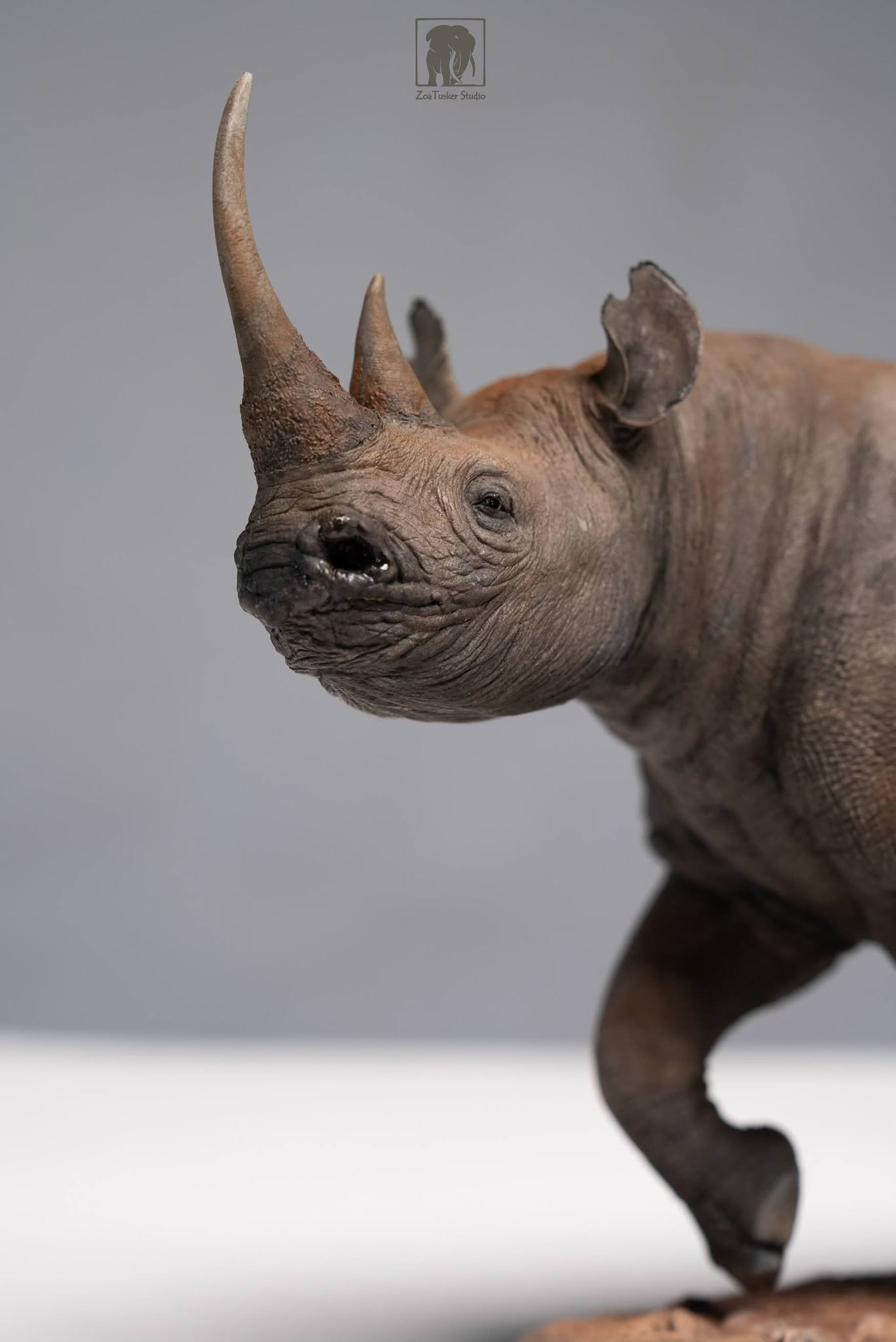 ZoaTusker Studio Black Rhinoceros Model