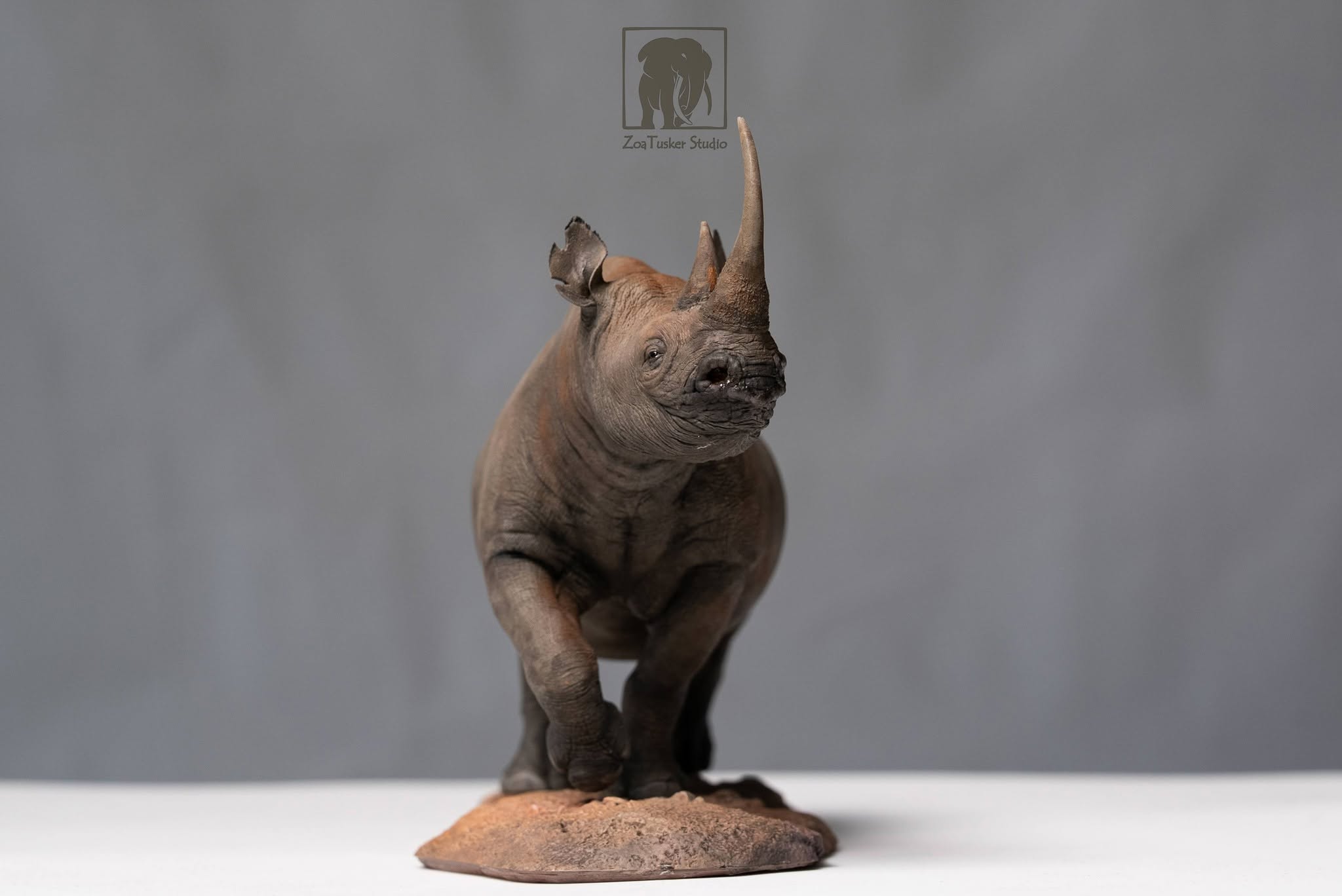 ZoaTusker Studio Black Rhinoceros Model