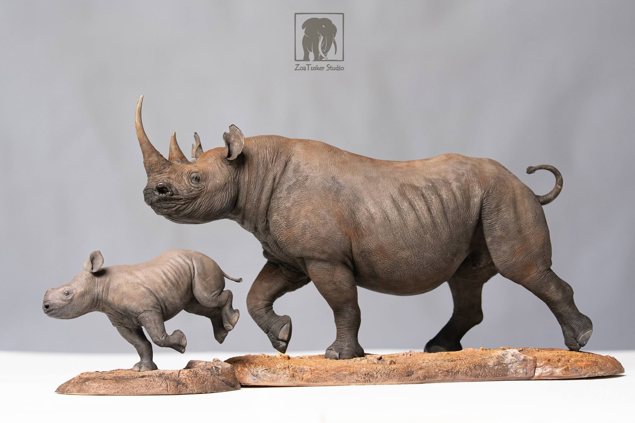 ZoaTusker Studio Black Rhinoceros Model