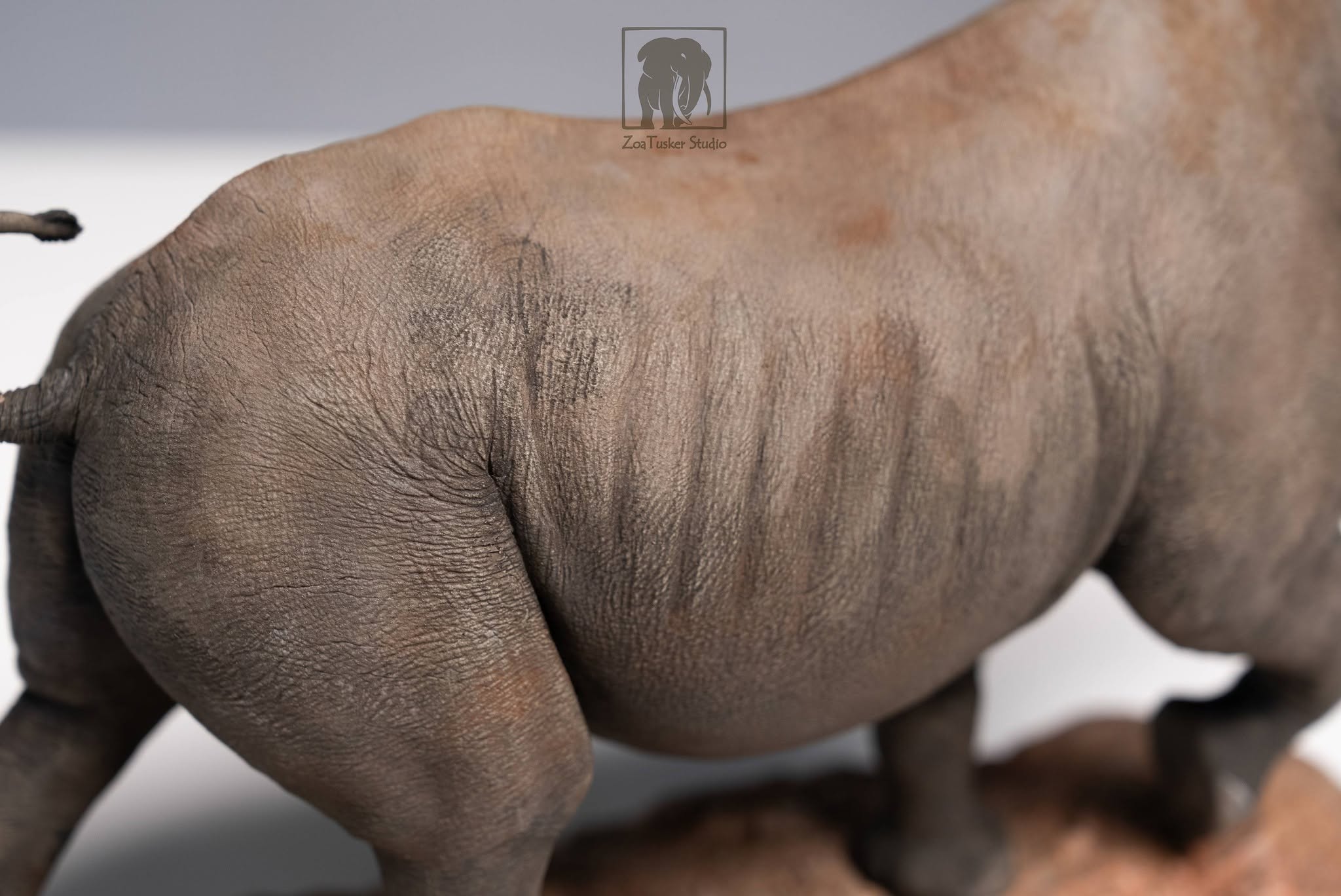 ZoaTusker Studio Black Rhinoceros Model