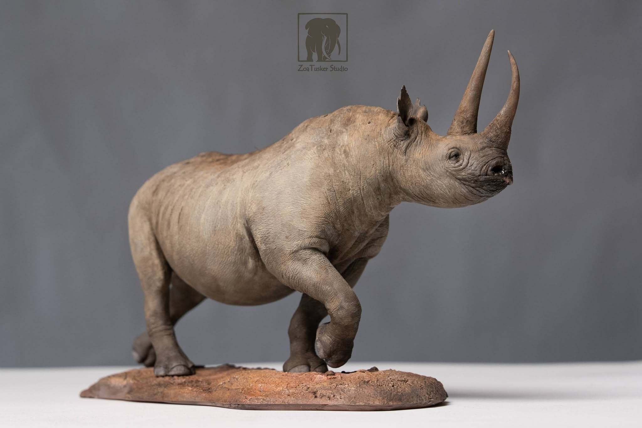 ZoaTusker Studio Black Rhinoceros Model