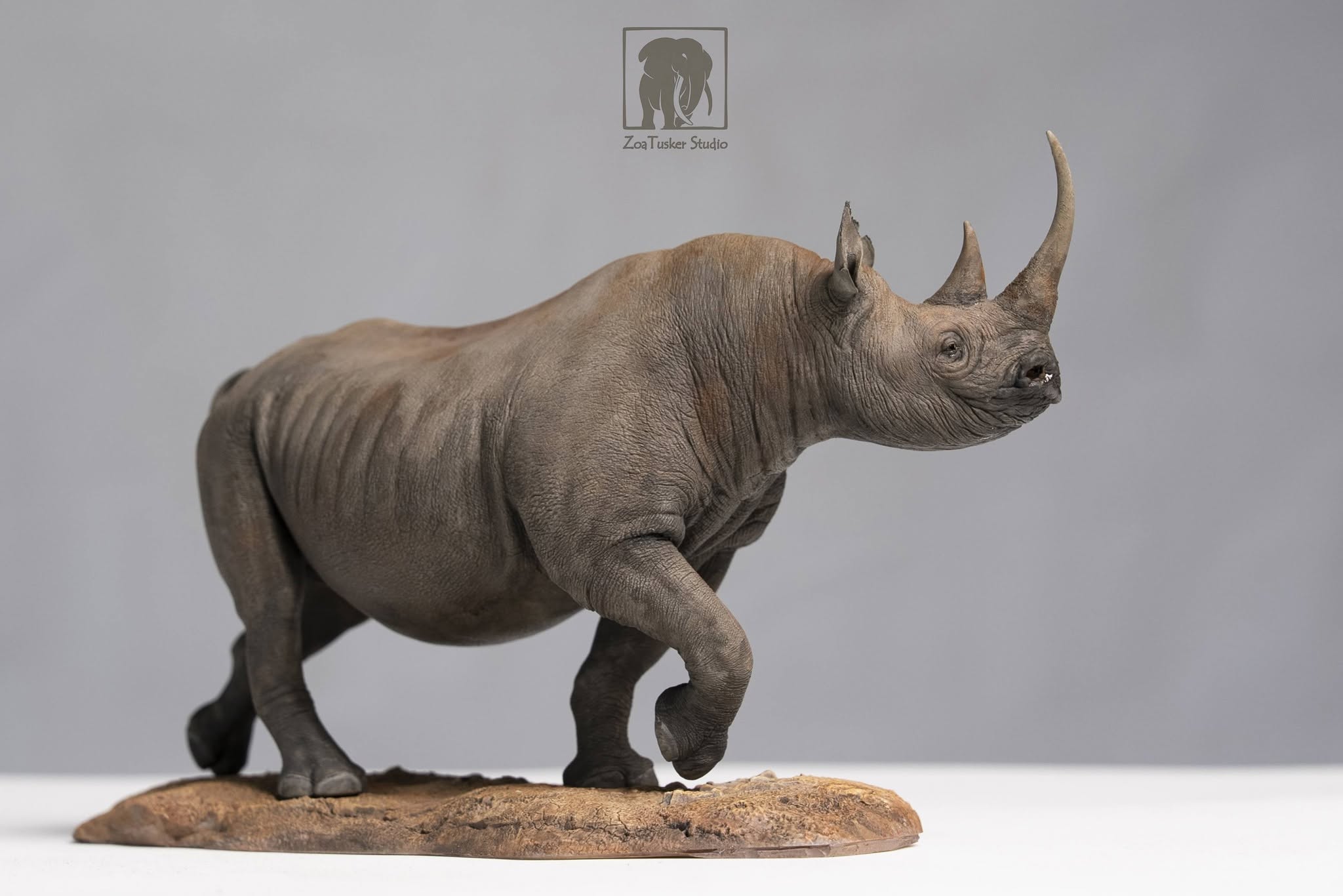 ZoaTusker Studio Black Rhinoceros Model