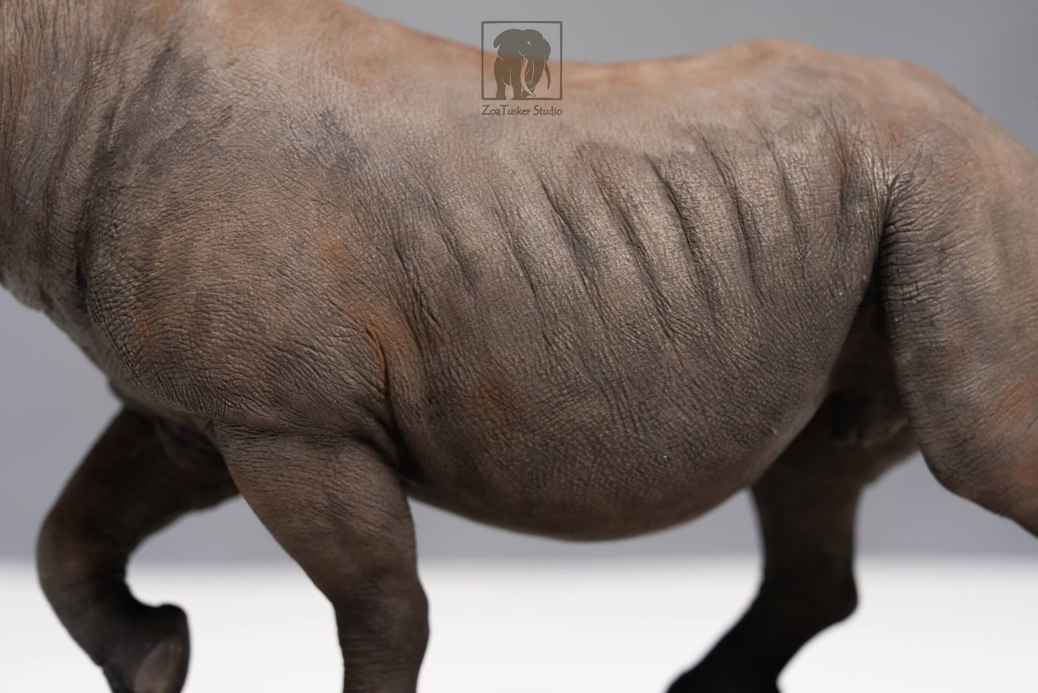 ZoaTusker Studio Black Rhinoceros Model