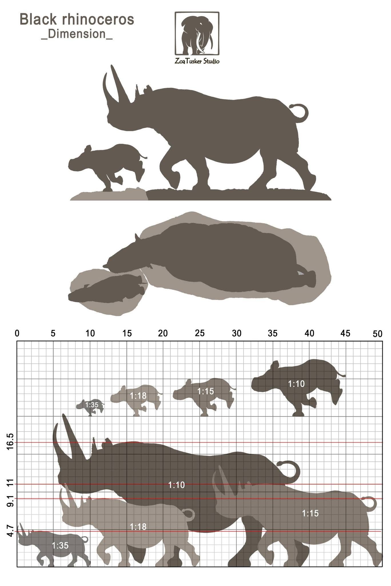 ZoaTusker Studio Black Rhinoceros Model