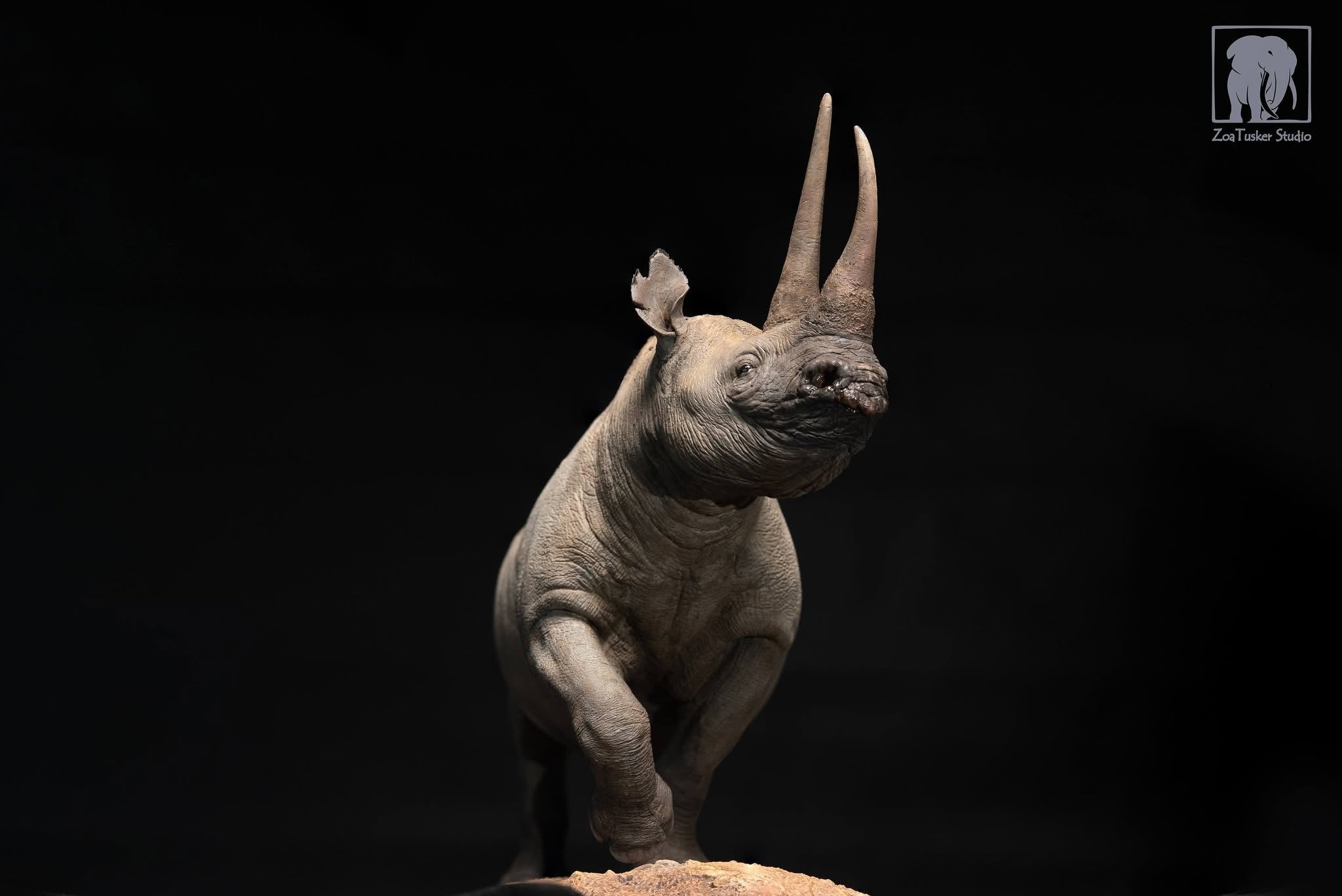 ZoaTusker Studio Black Rhinoceros Model
