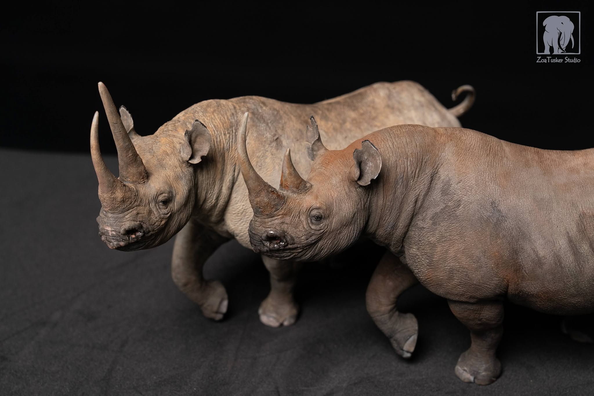 ZoaTusker Studio Black Rhinoceros Model