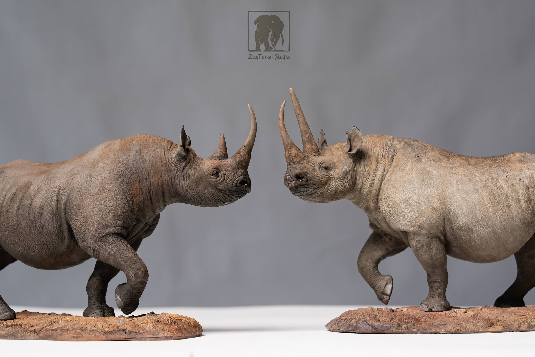 ZoaTusker Studio Black Rhinoceros Model