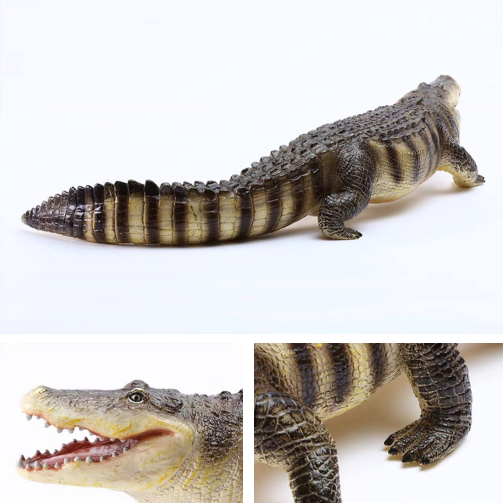 Recur American Alligator Model Collector