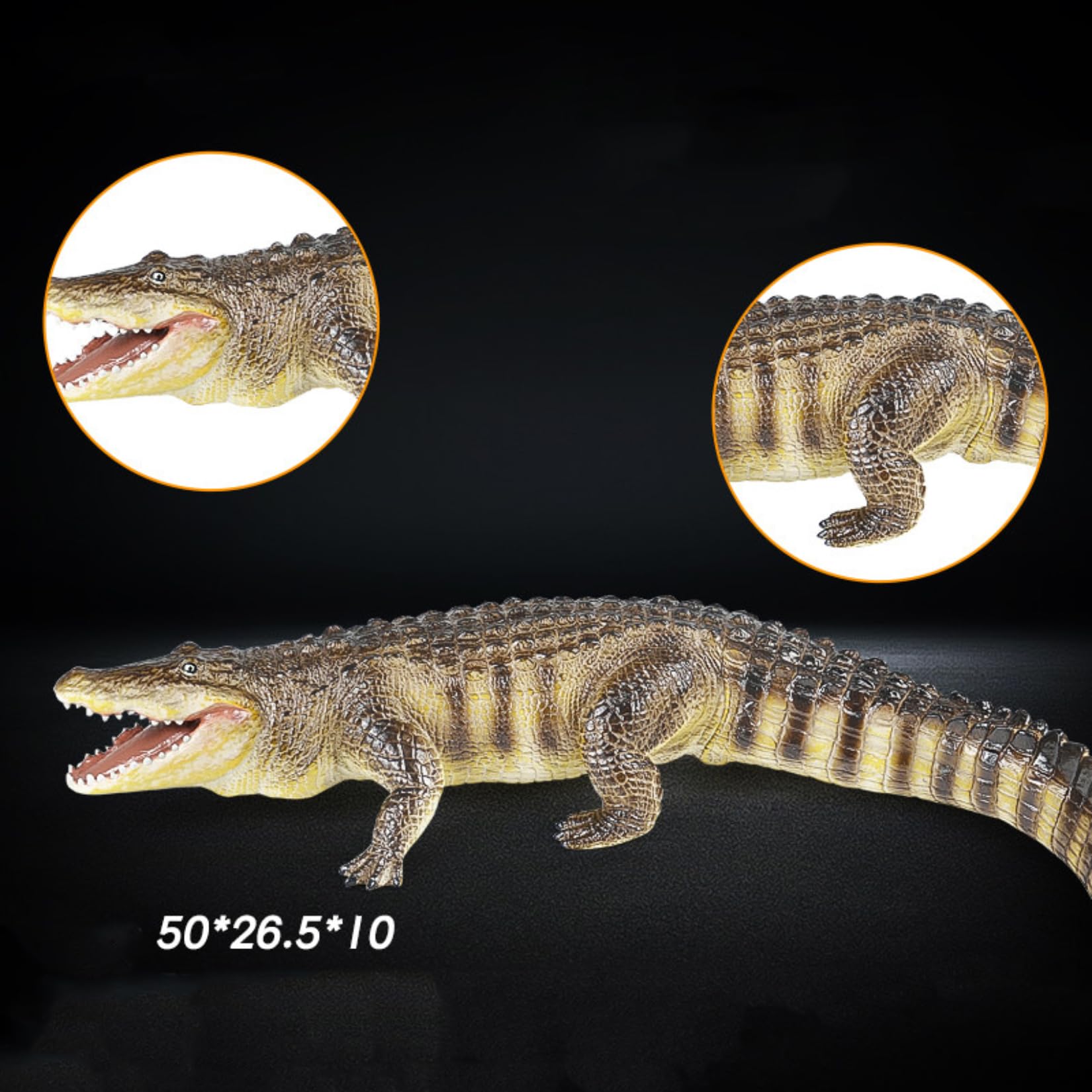 Recur American Alligator Model Collector