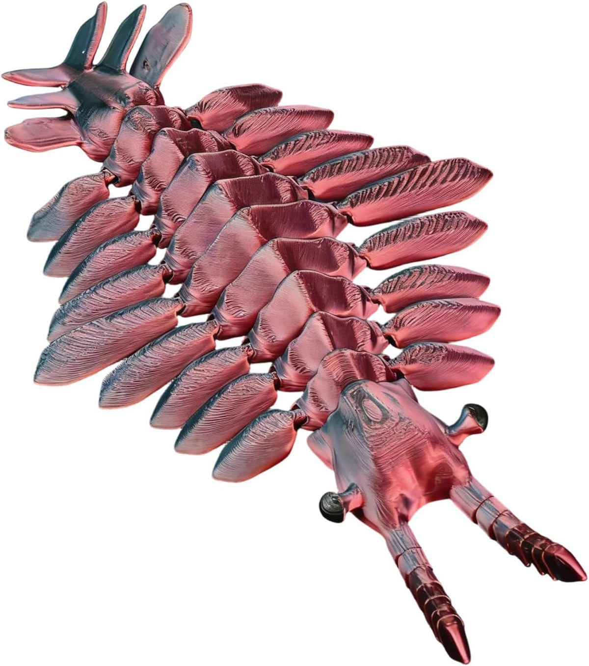 3D Printed Articulated Anomalocaris Prehistoric Creature Model