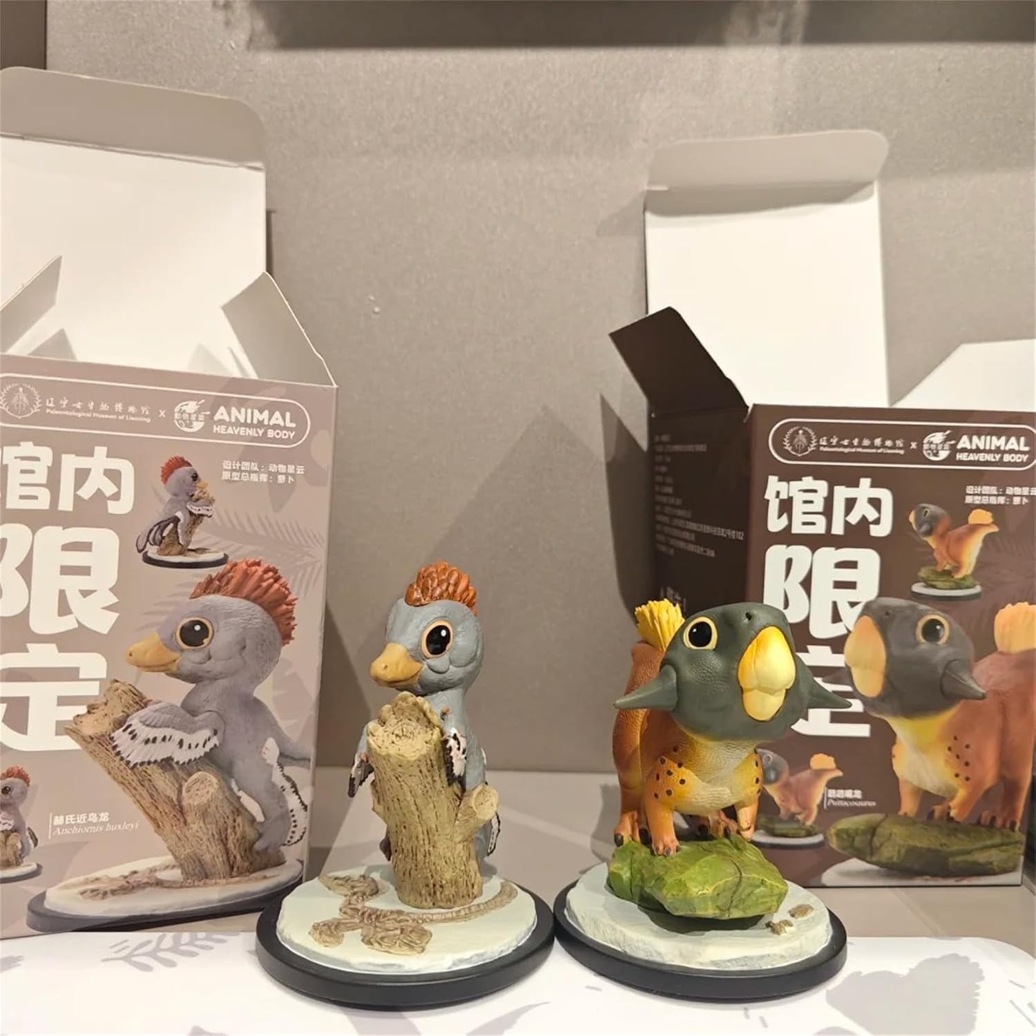 Animal Heavenly Body Psittacosaurus & Anchiornis Huxleyi Model Collector