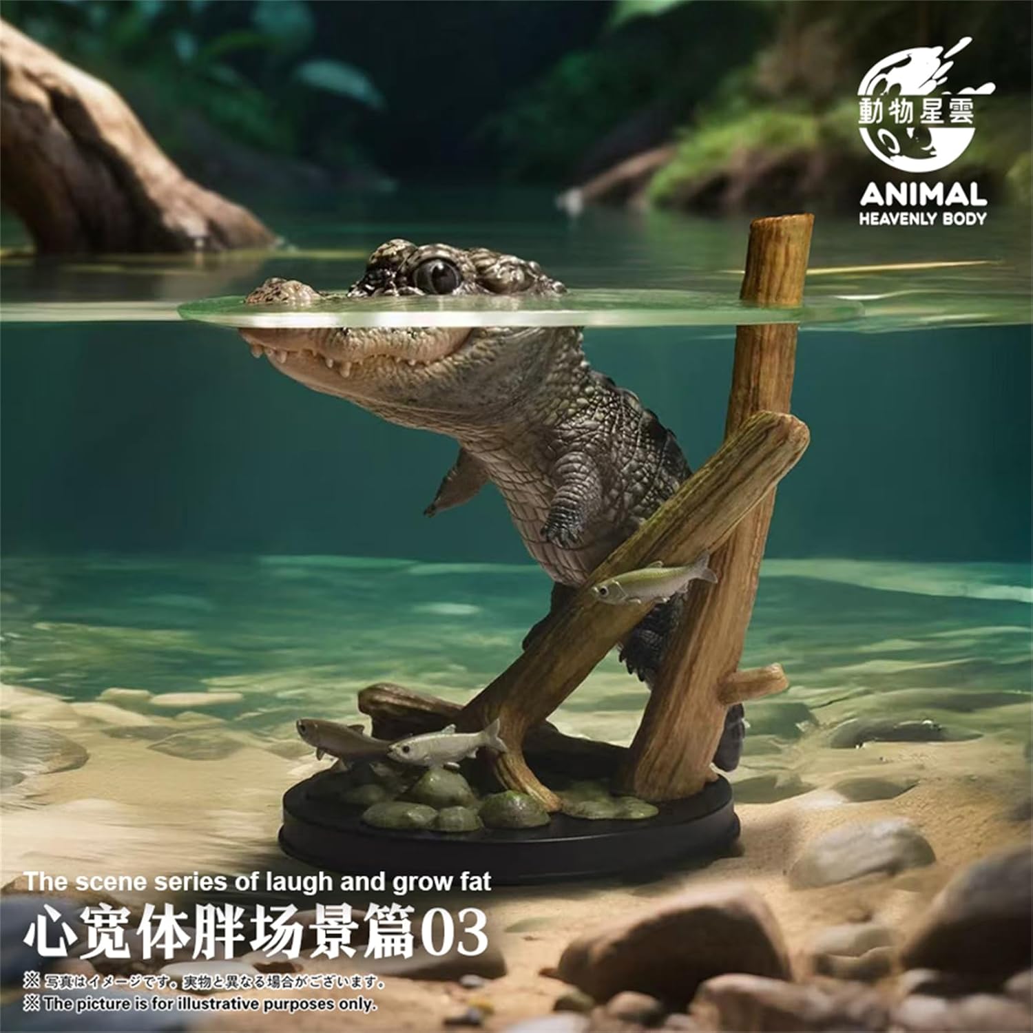 Animal Heavenly Body Chinese alligator Scene Model