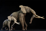 De CLAY Studio African Elephant battling bulls Statue