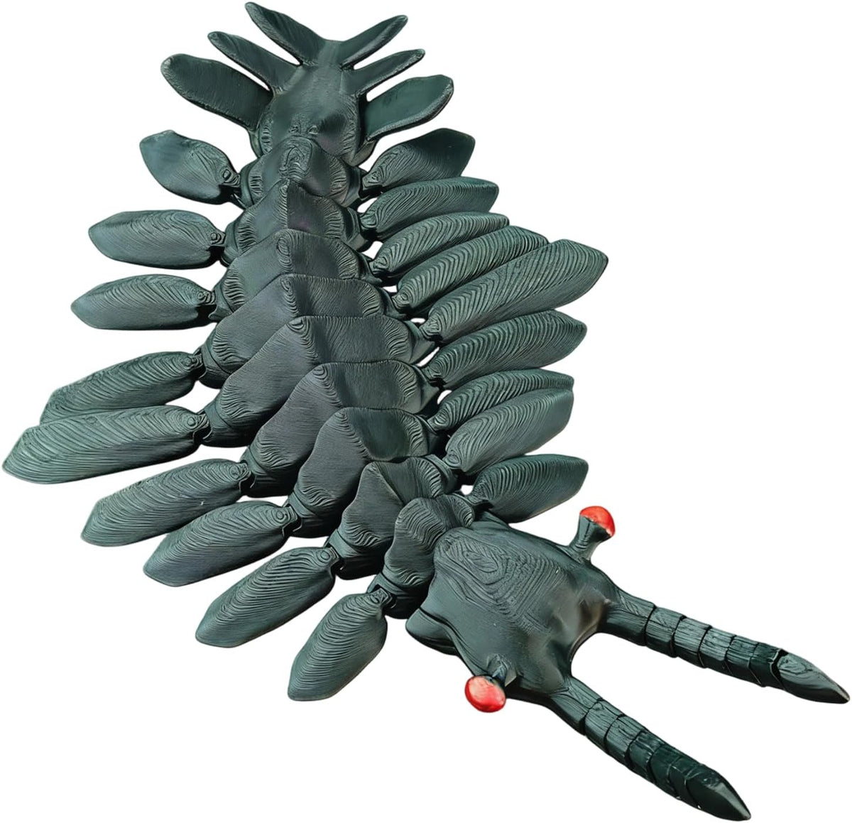 3D Printed Articulated Anomalocaris Prehistoric Creature Model