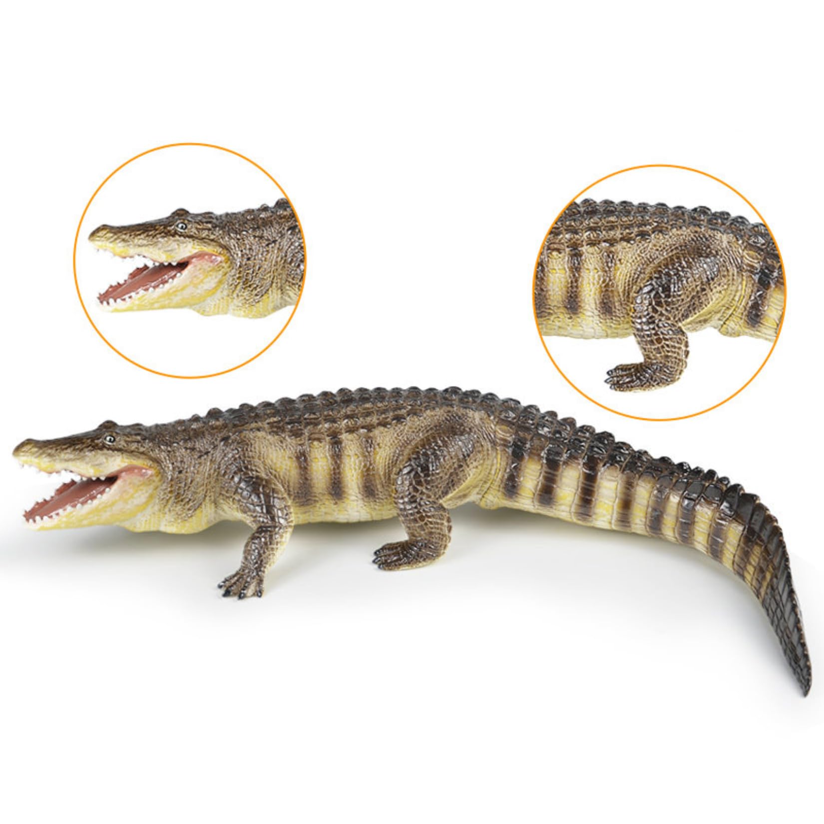 Recur American Alligator Model Collector