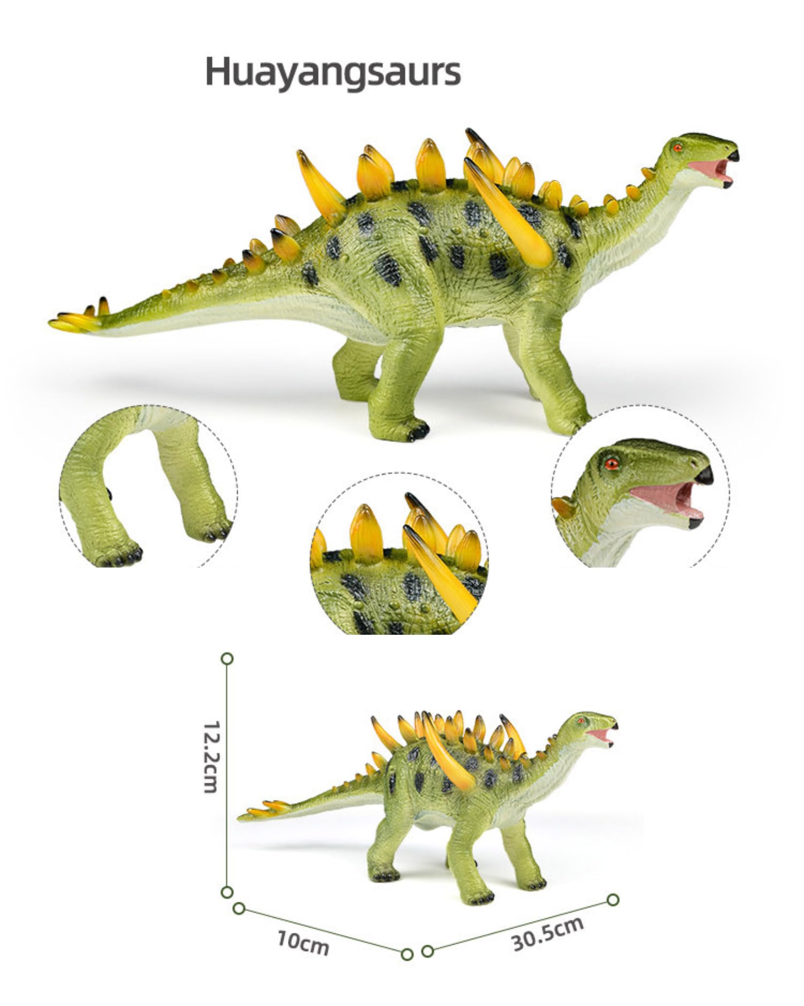 Recur Huayangsaurs Dinosaur Model