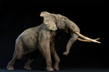 De CLAY Studio African Elephant battling bulls Statue