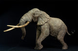 De CLAY Studio African Elephant battling bulls Statue