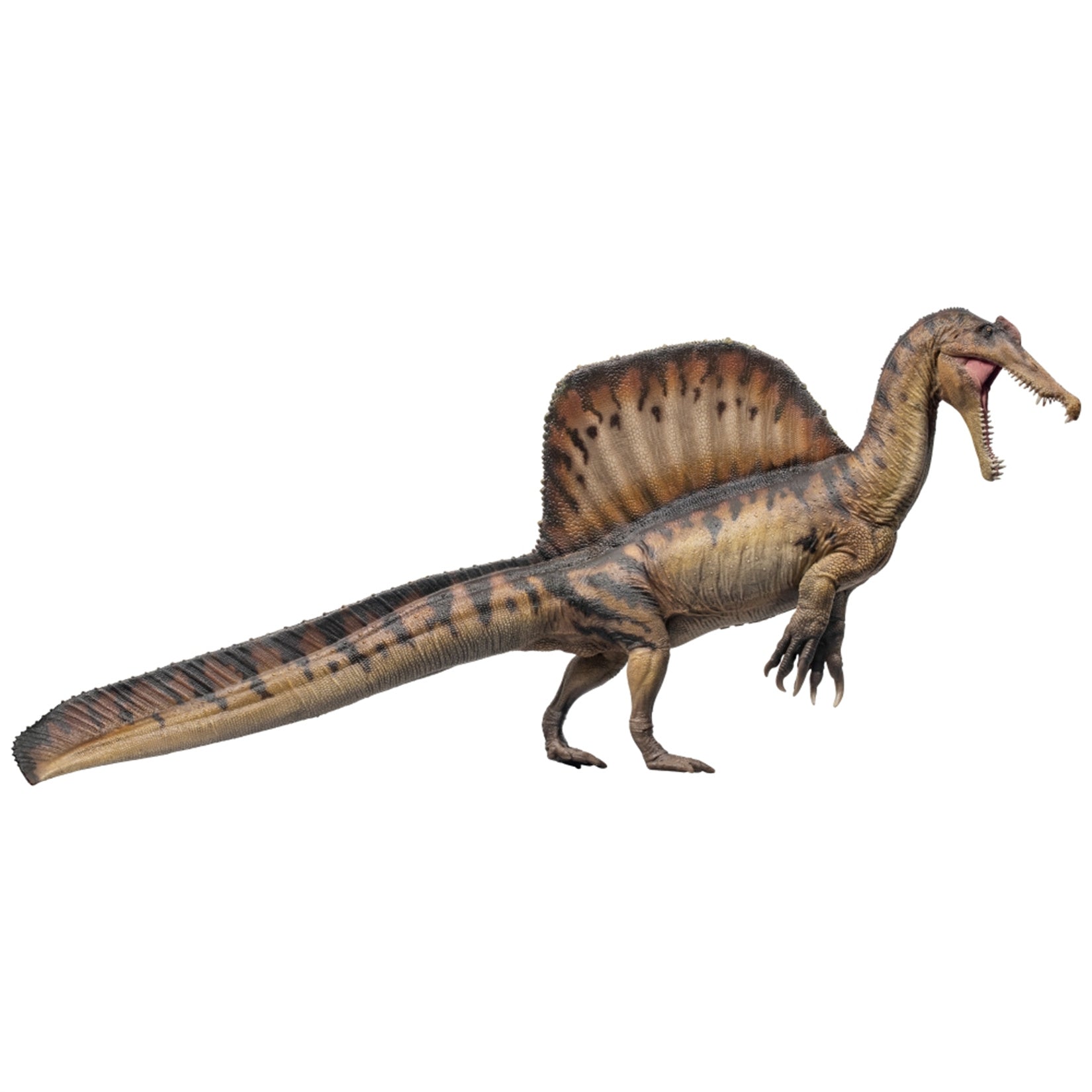 PNSO 1/35 Spinosaurus Aymen Model