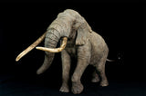 De CLAY Studio African Elephant battling bulls Statue