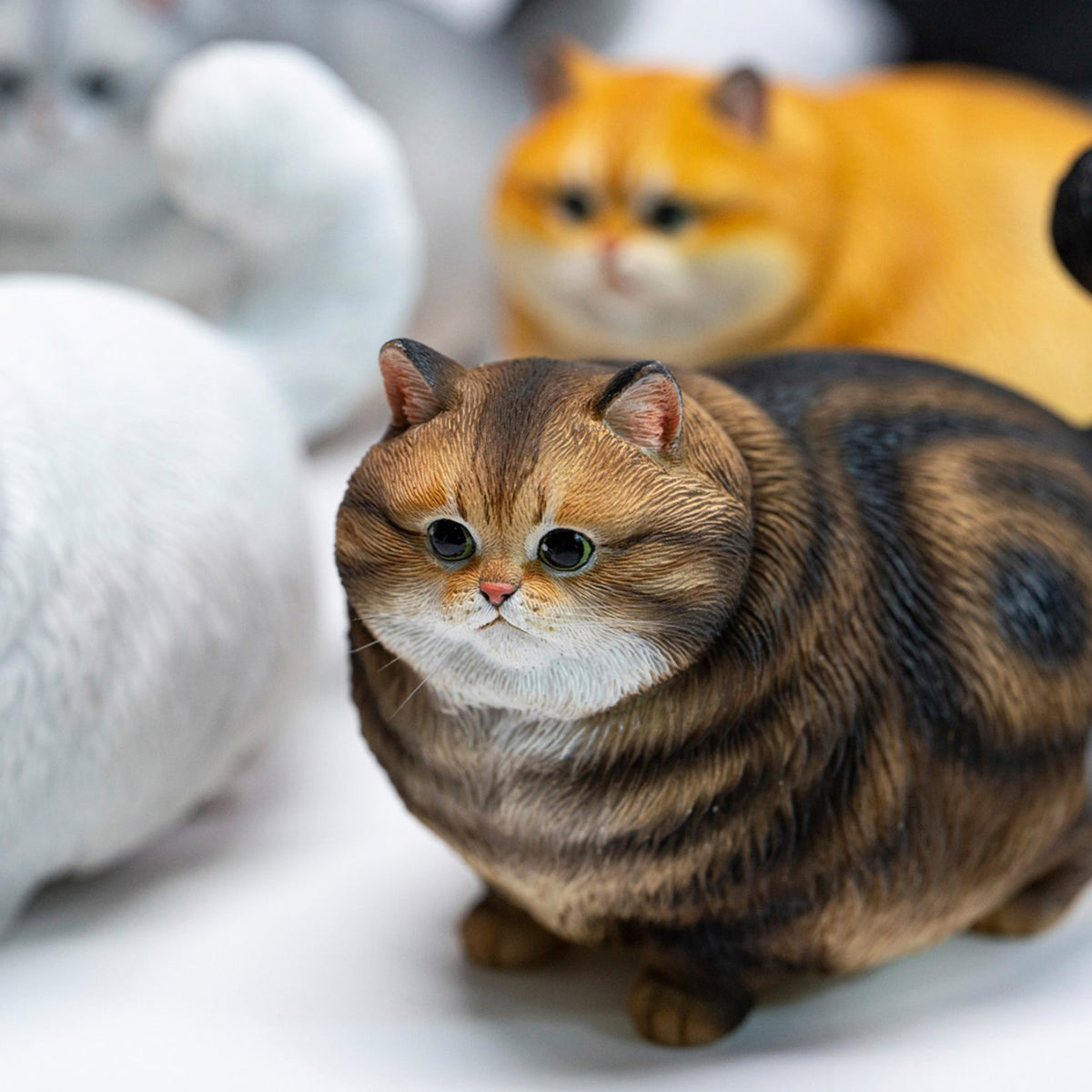 JXK Chubby Kitty Cat Model