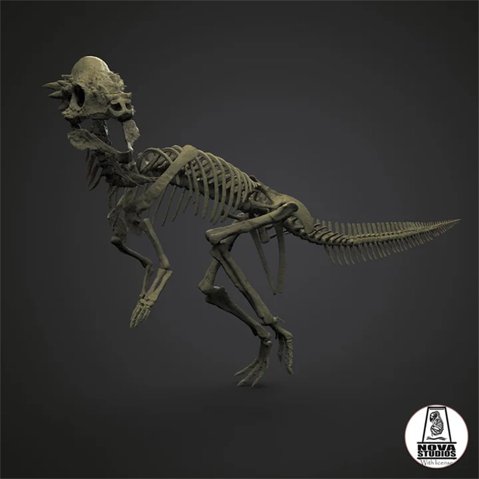 Nova Studio 1/8 Scale Pachycephalosaurus wyomingensis Skeleton Model