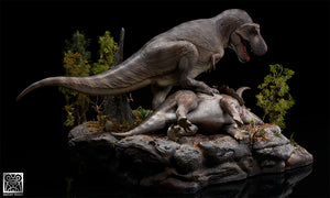 De CLAY Studio Tyrannosaurus rex VS Triceratops Model