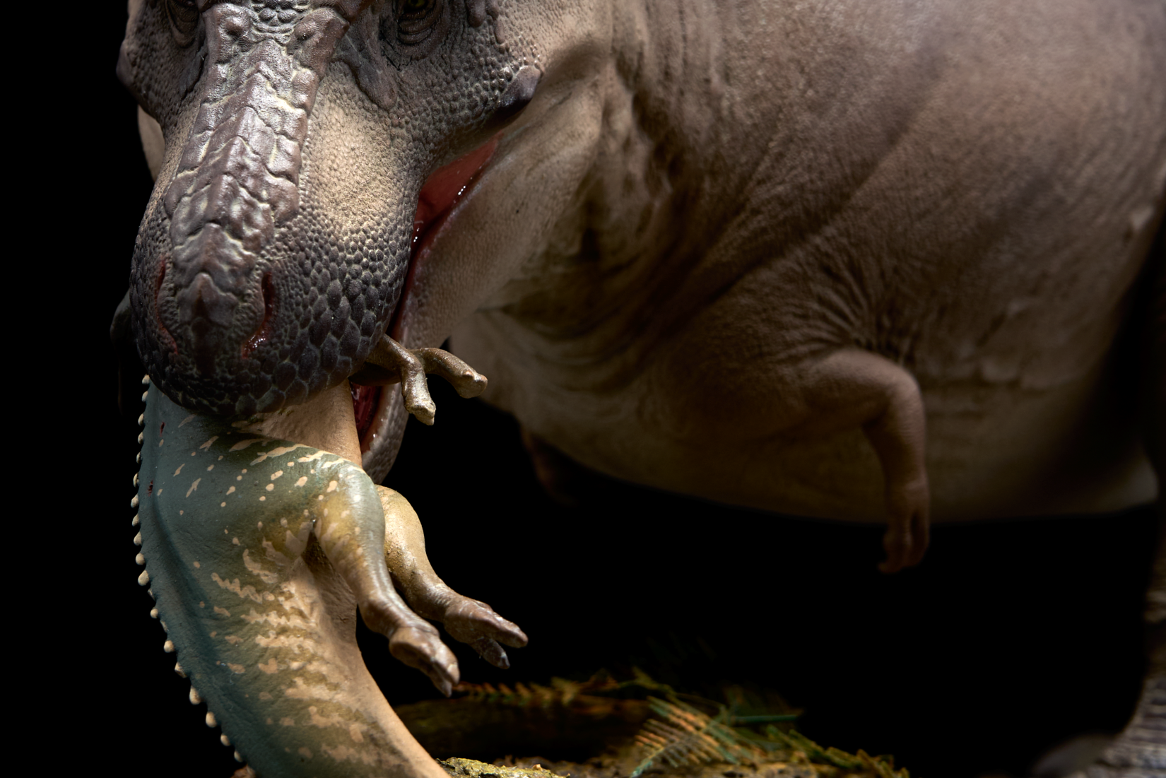 De CLAY Studio T. rex and Edmontosaurus Model