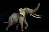 De CLAY Studio African Elephant battling bulls Statue