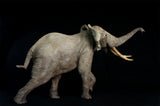 De CLAY Studio African Elephant battling bulls Statue