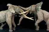 De CLAY Studio African Elephant battling bulls Statue