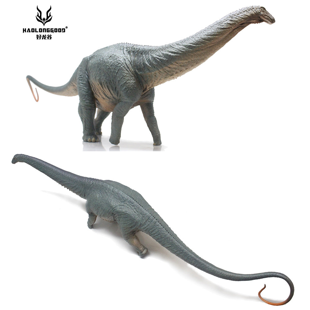 HAOLONGGOOD 1:35 Scale Apatosaurus Model
