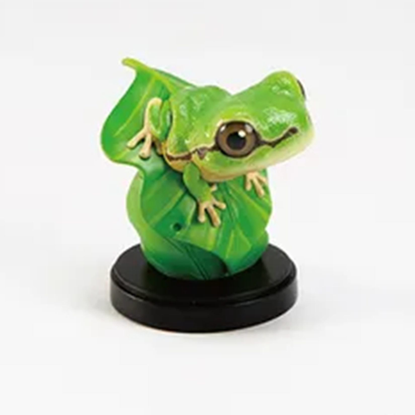 Hongshan Forest Zoo Spotless Tree Frog‌ Model