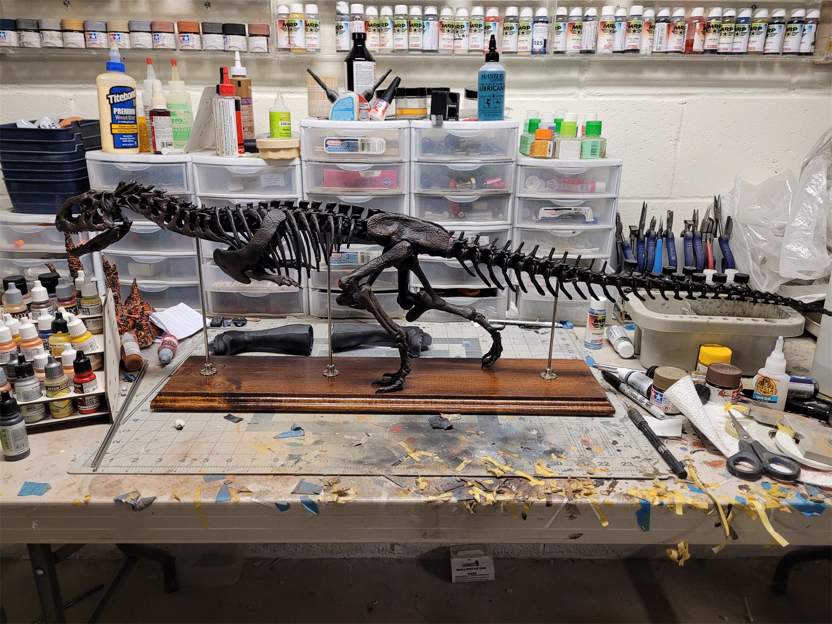 Nova Studio 1/6 Scale Majungasaurus crenatissimus keleton Model