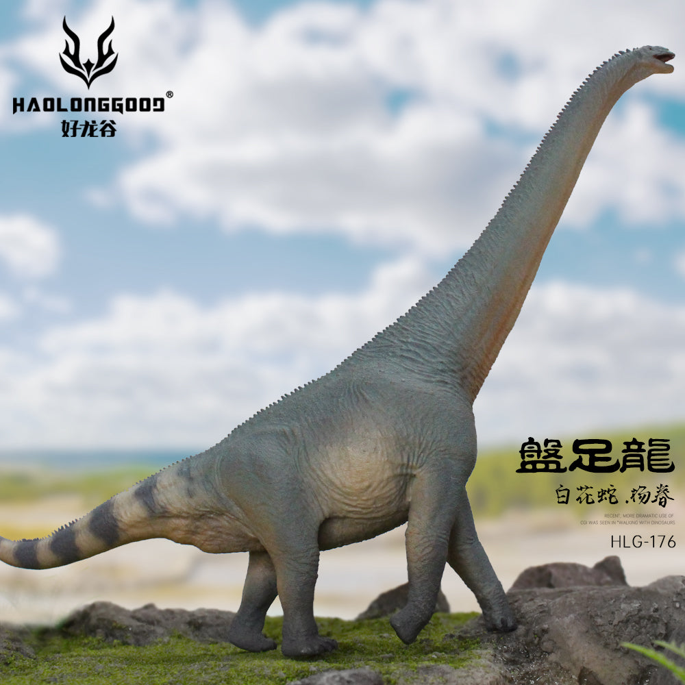 HAOLONGGOOD 1:35 Scale Euhelopus Model