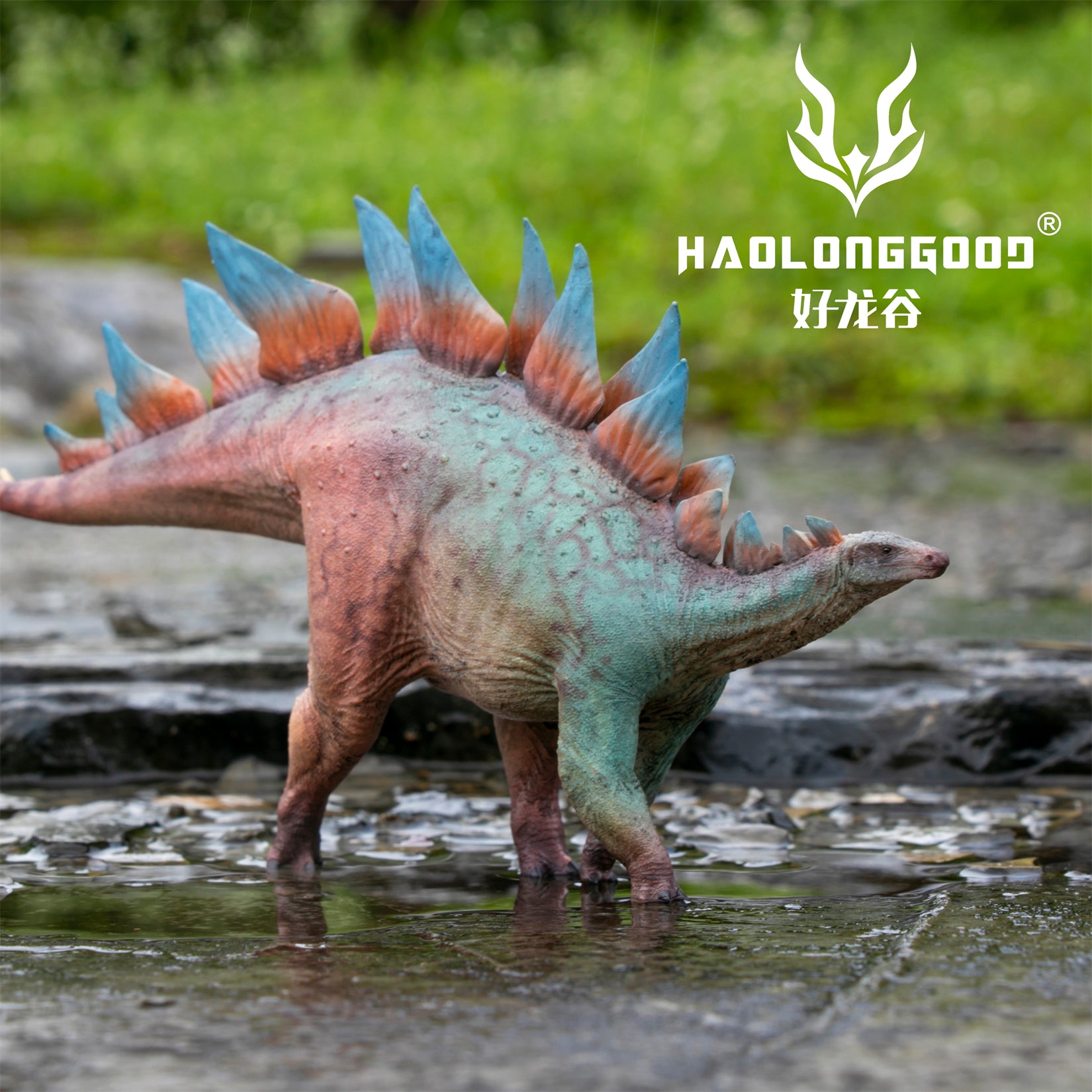 HAOLONGGOOD 1:35 Scale Stegosaurus Model