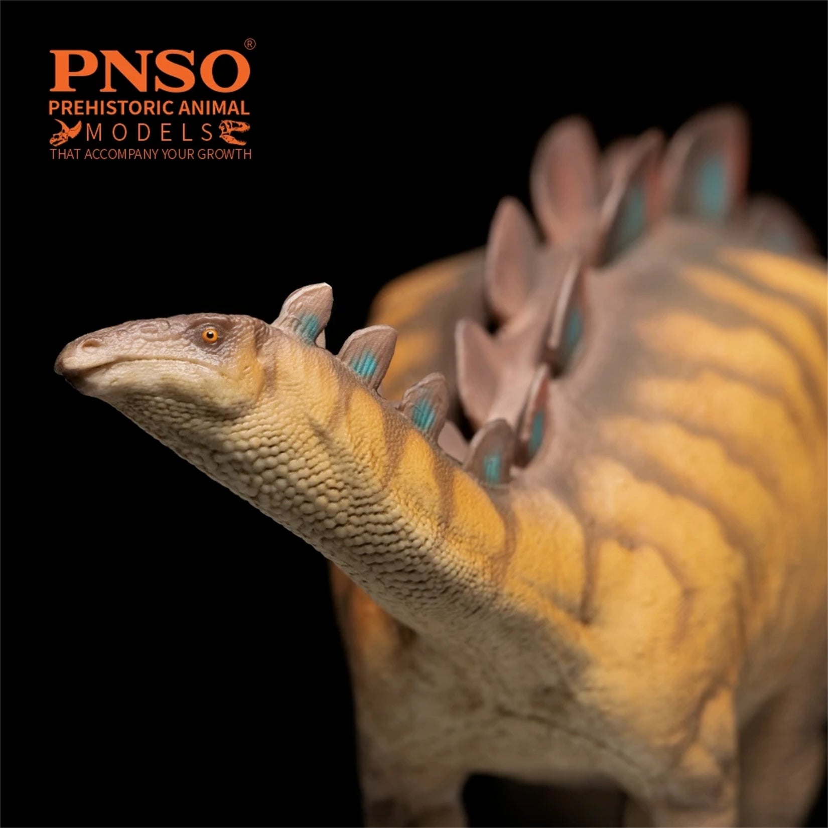PNSO 82 Wuerhosaurus Xilin Model