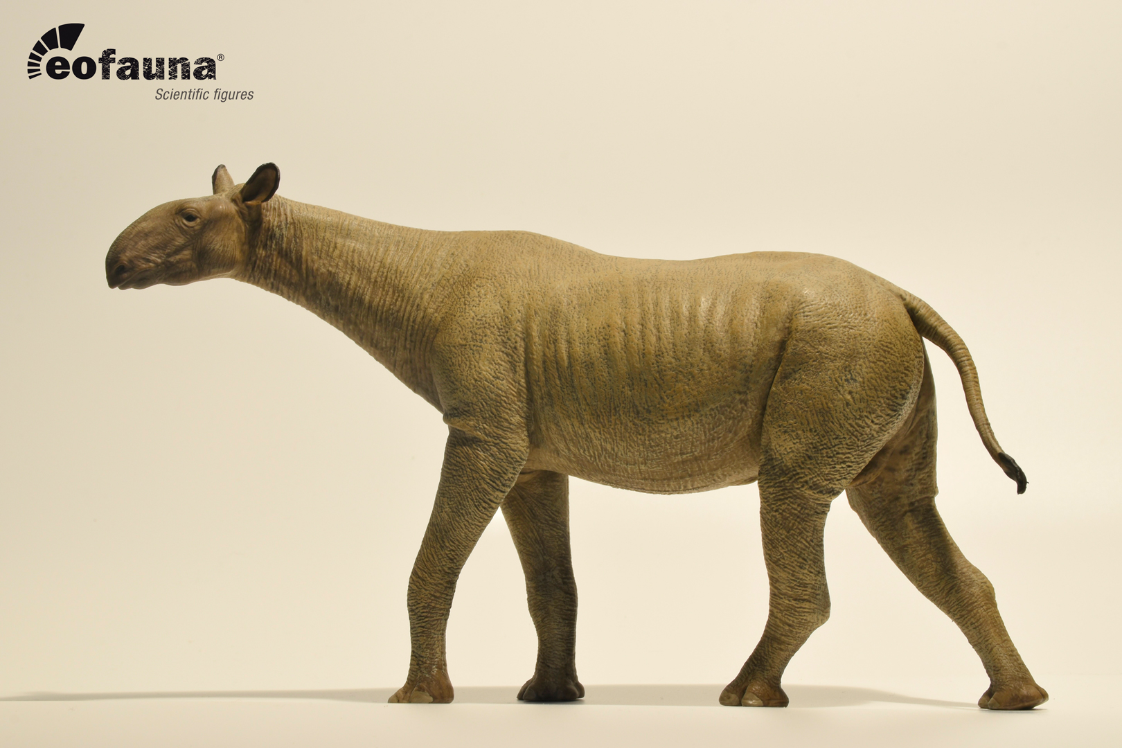 Eofauna 1:35 Scale Paraceratherium grangeri Figure