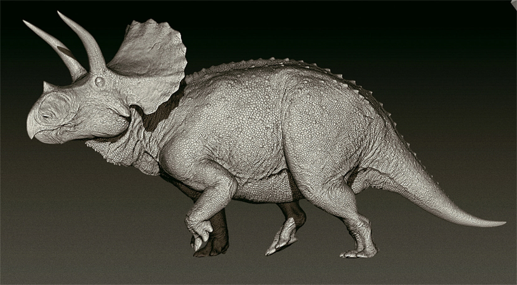 SHOWANNA 1/35 Scale Eotriceratops Model