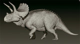 SHOWANNA 1/35 Scale Eotriceratops Model