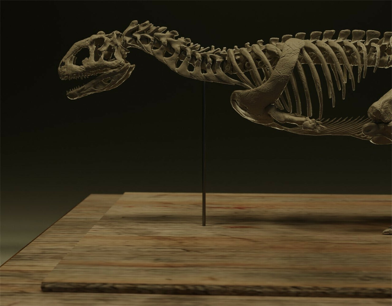 Nova Studio 1/6 Scale Majungasaurus crenatissimus keleton Model