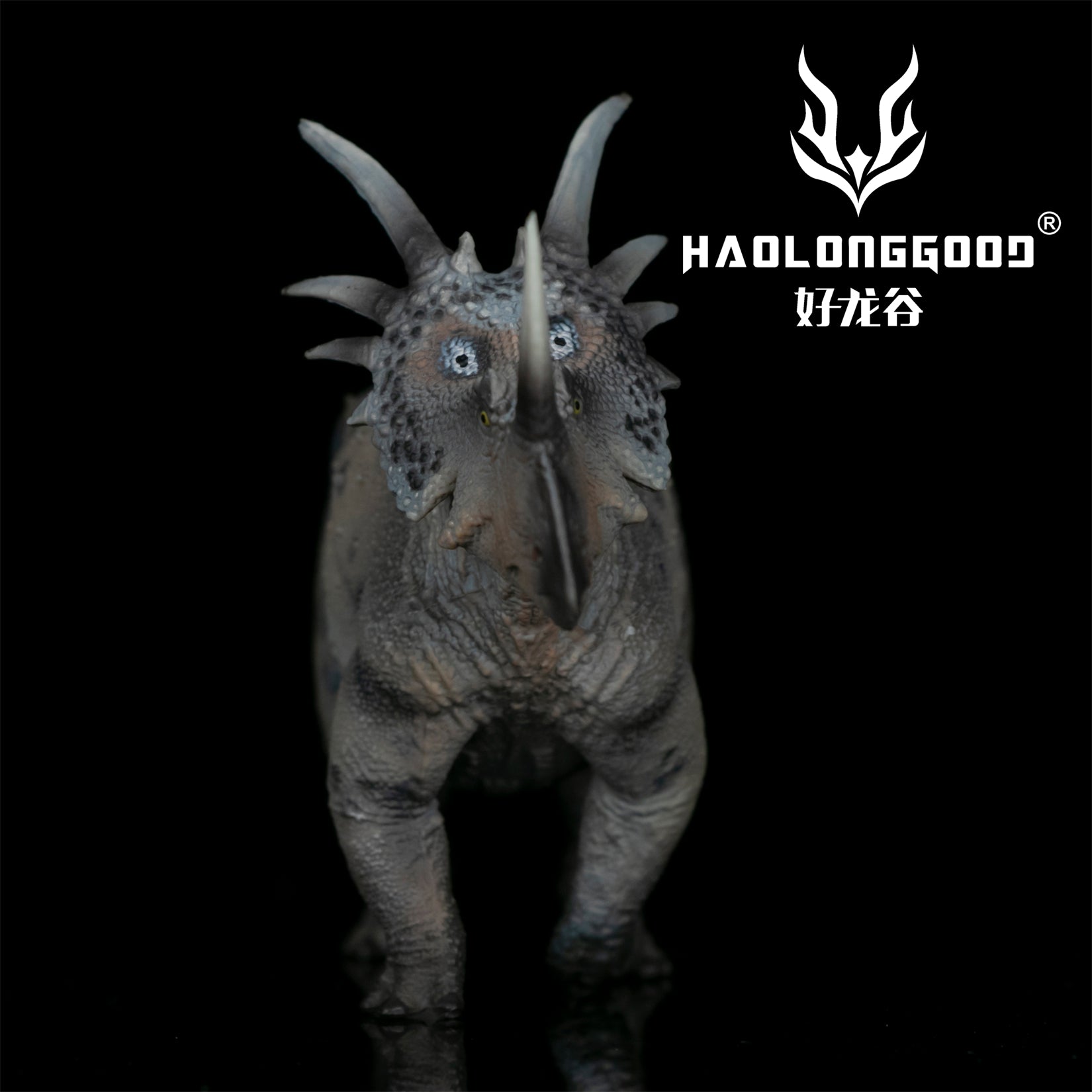 HAOLONGGOOD 1:35 Scale Styracosaurus Model